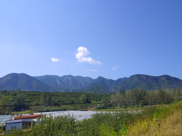 风景