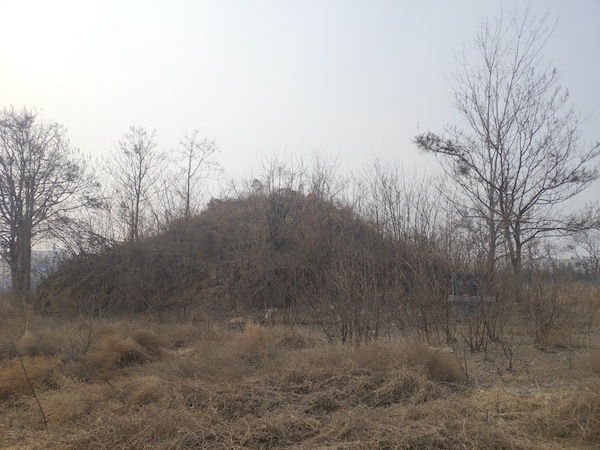 嵩陵
